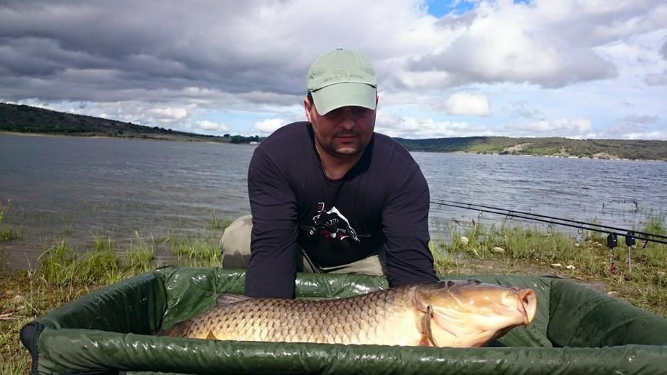 crap salbatic aprilie 2015 - 110782475451378422924023107180082140285954n.jpg